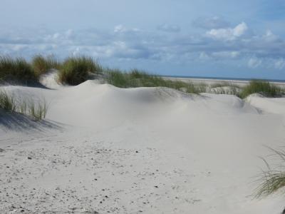 P1000216