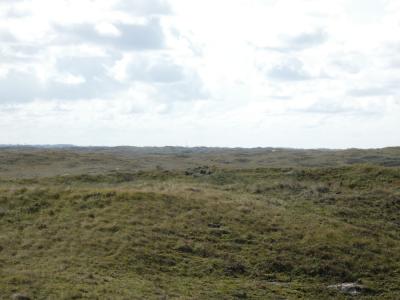 P1000218