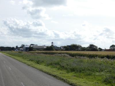 P1000223