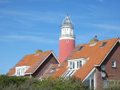 Texel 2019