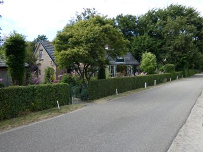 P1000130