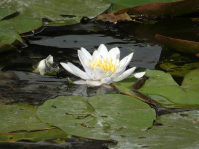 P1000132