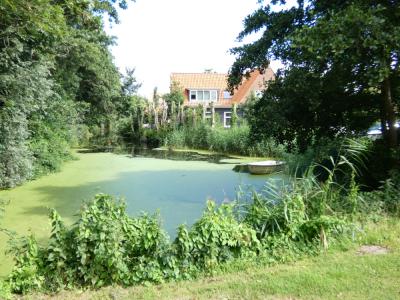 P1000150