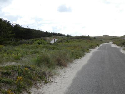 P1000153