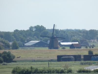 P1000162