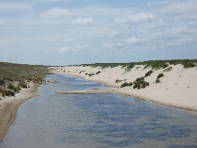 P1000163