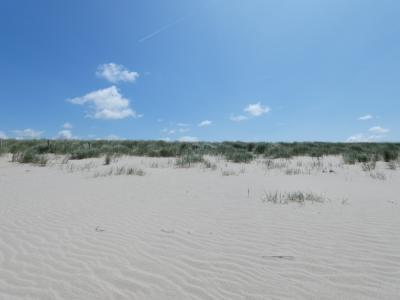 P1000166