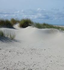 Fahrt nach Texel